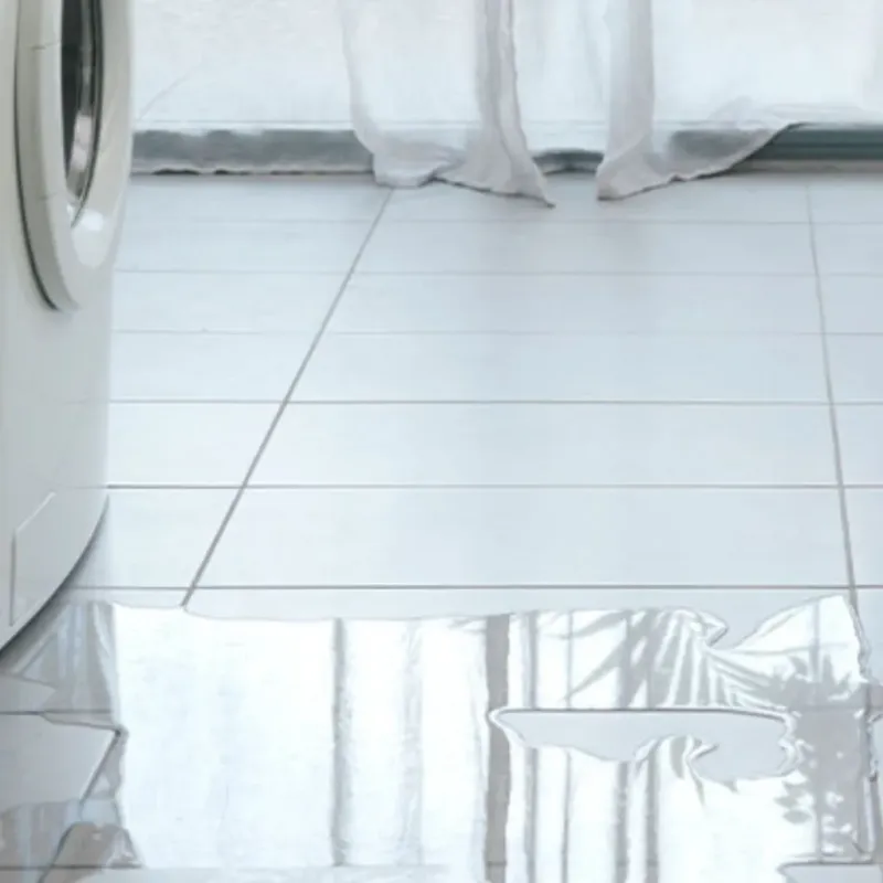 Appliance Leak Cleanup in Lynn County, TX