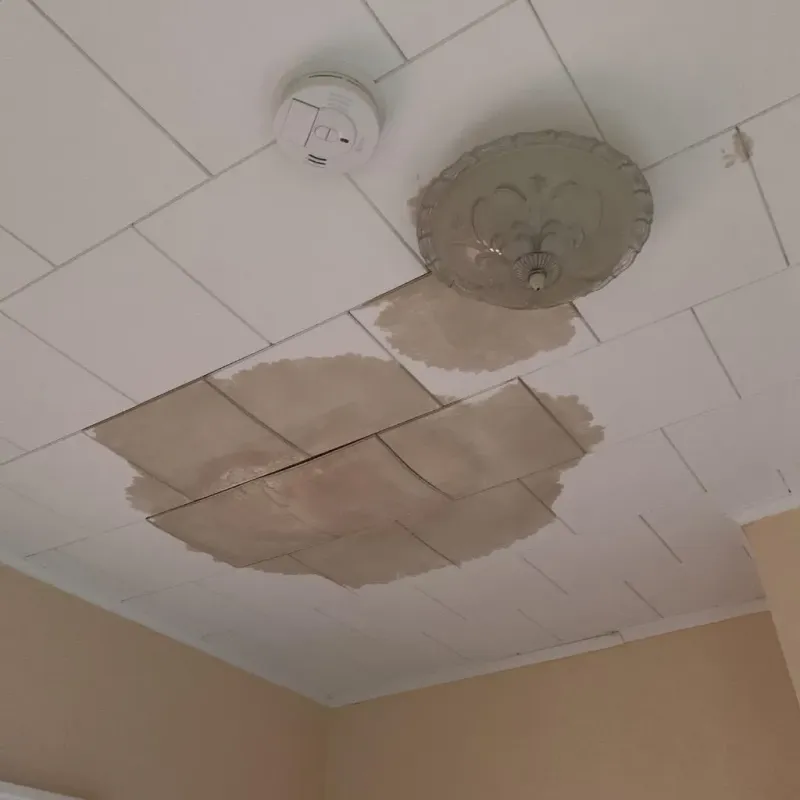 Ceiling Water Damage Repair in Lynn County, TX