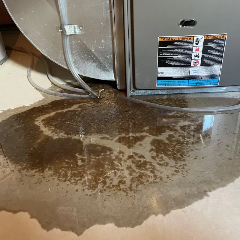 Pipe Burst and Leak Restoration in Lynn County, TX