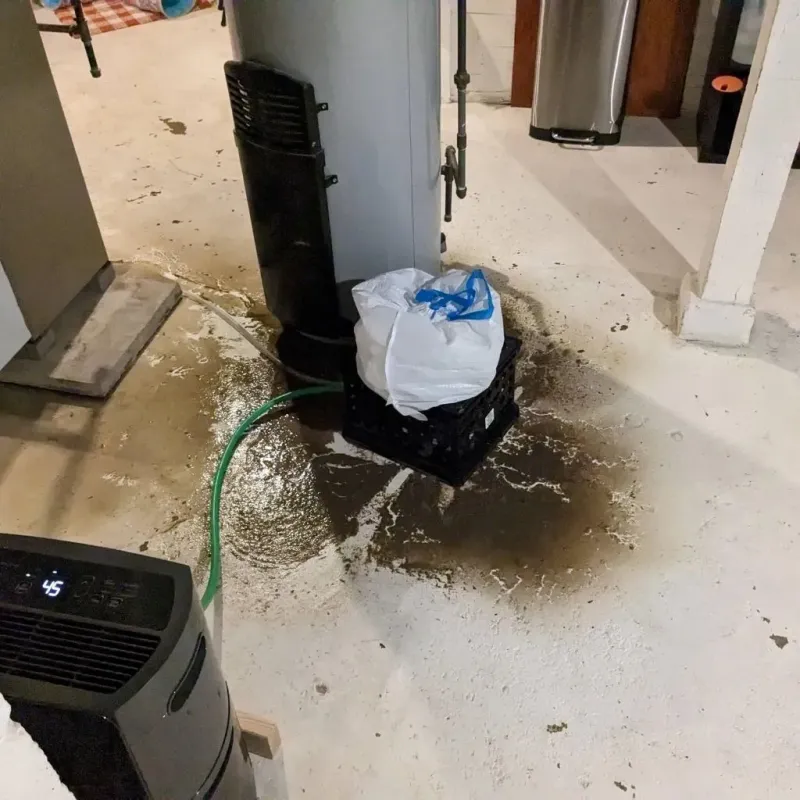 Sewage Backup Cleanup Service in Lynn County, TX